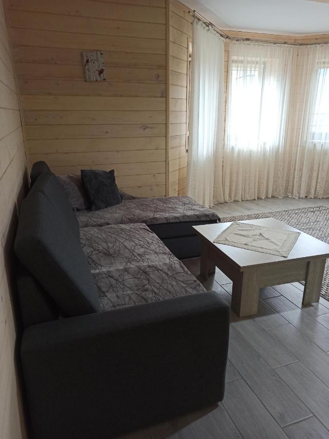 Brand New 2020 Specious Apartment Druzi 2 Poljanyzja Exterior foto